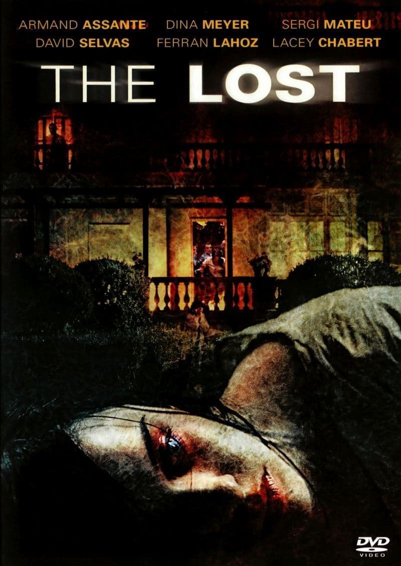 Poster of The Lost (2009) WEB-DL Full Movie (Hindi-English)