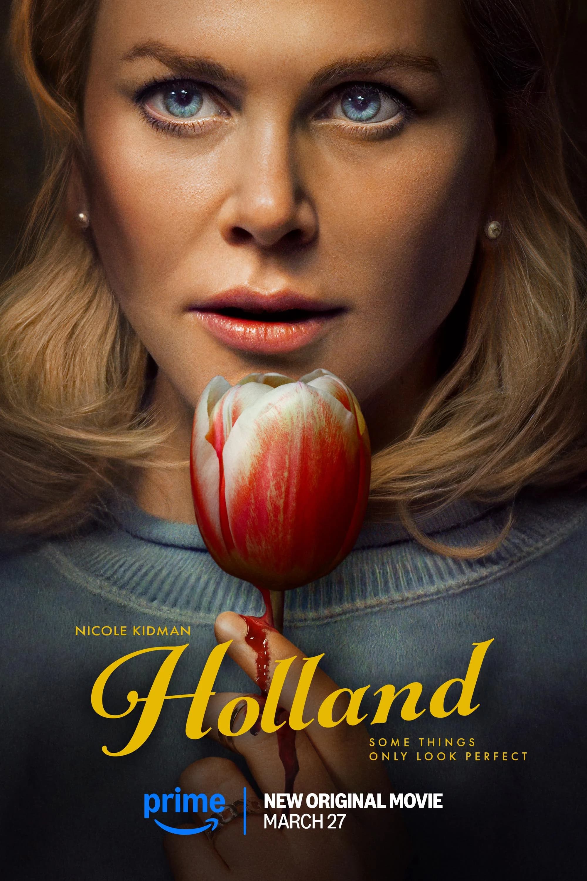 Poster of Holland (2025)