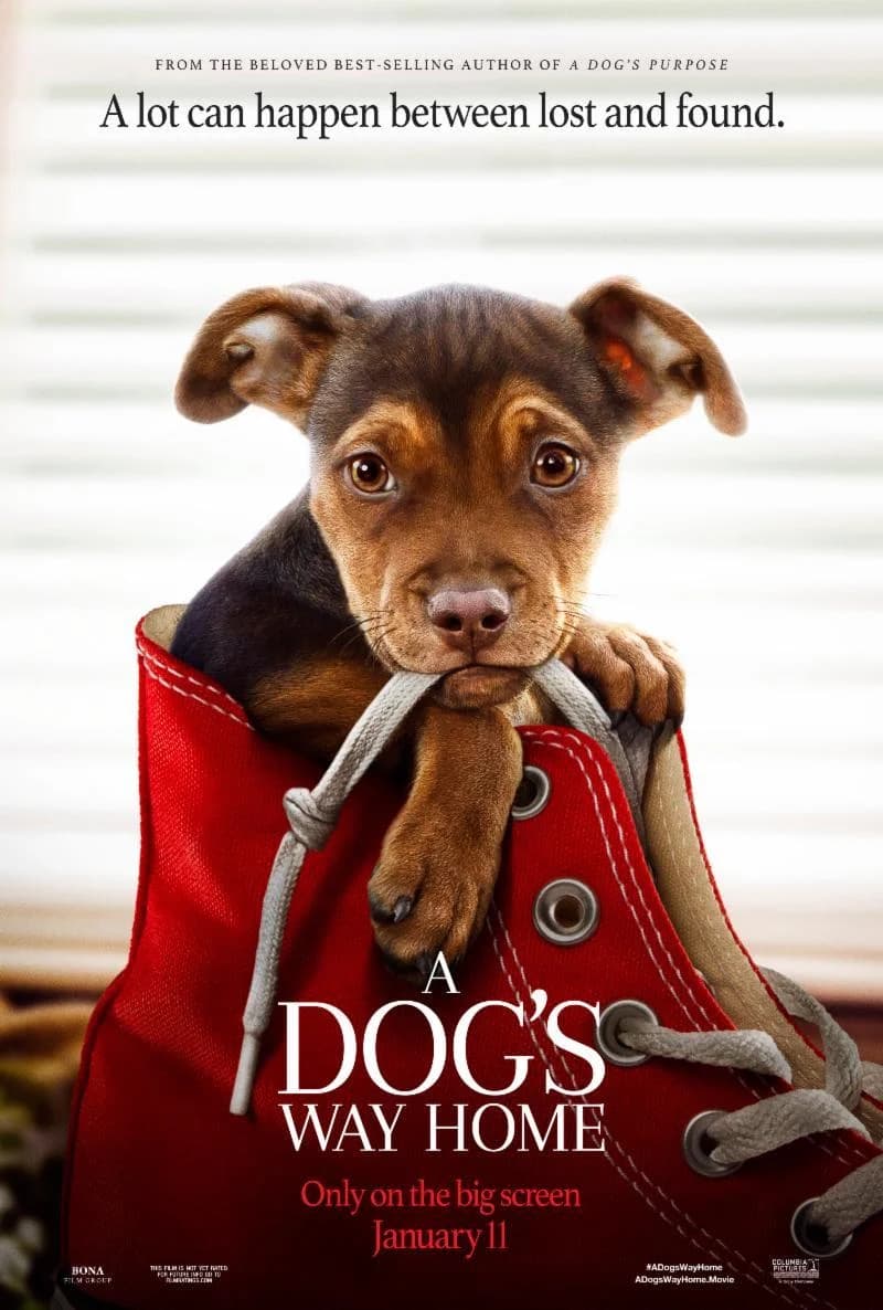 Poster of A Dog’s Way Home 2019 Hindi ORG Dual Audio