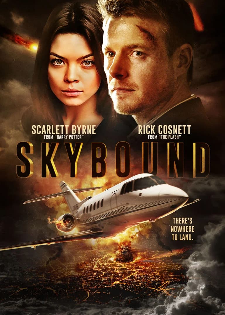 Poster of Skybound (2017) BluRay [Hindi (ORG 5.1) & English]