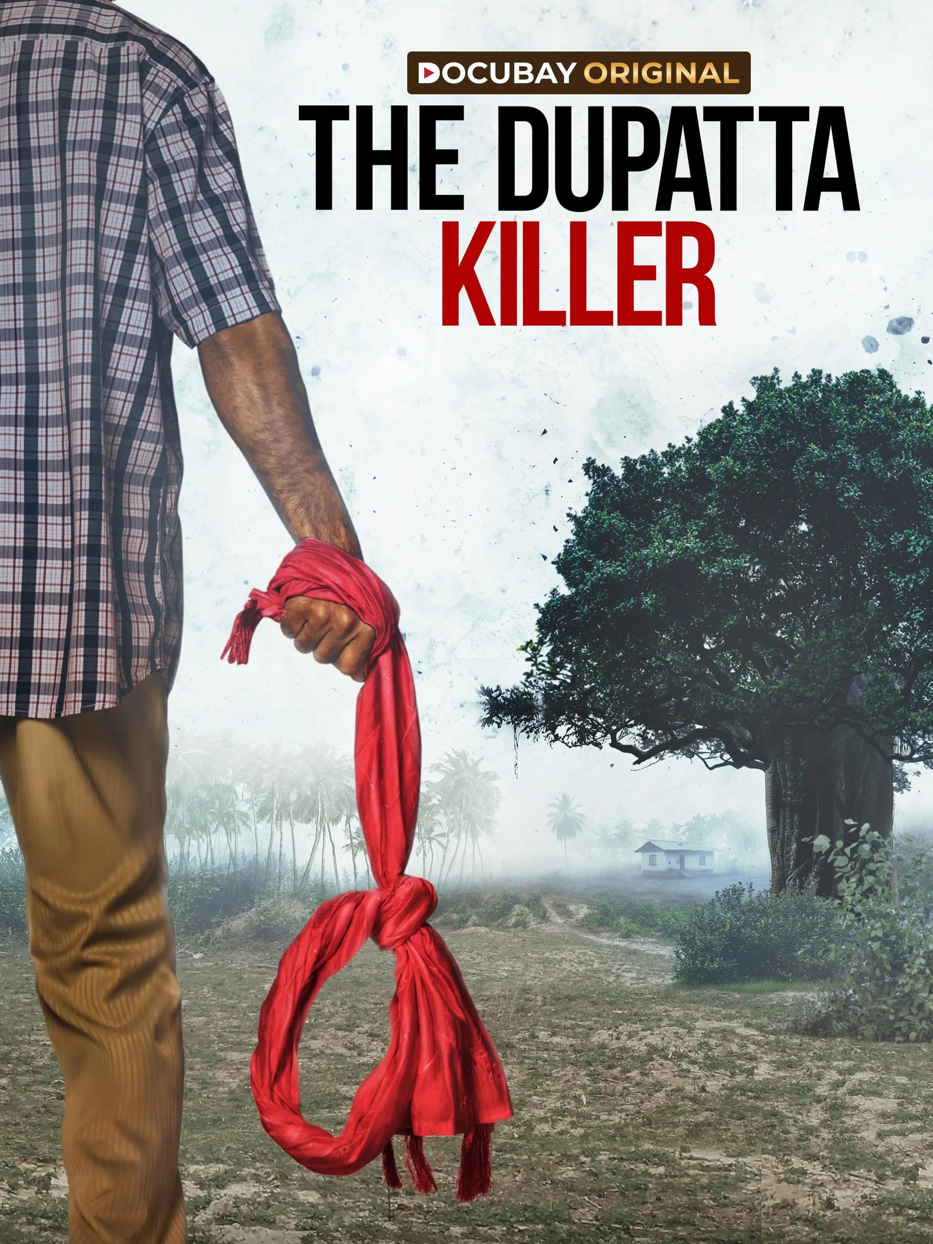 Poster of The Dupatta Killer 2025 Hindi
