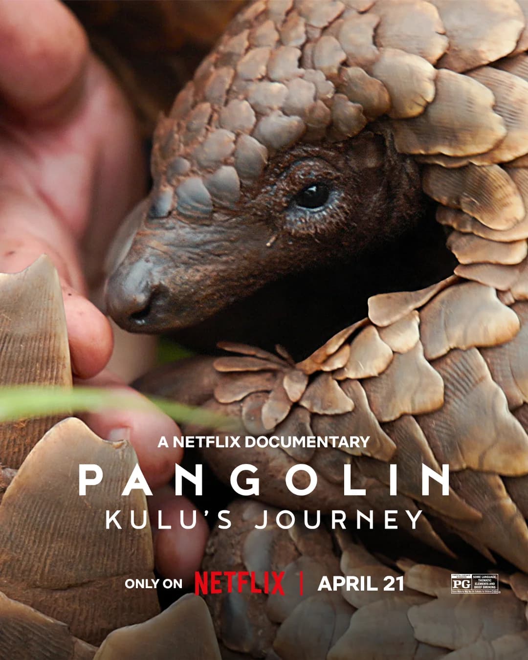 Poster of Pangolin: Kulu’s Journey (2025) WEB-DL Dual Audio [Hindi Dubbed (5.1 DD) & English]