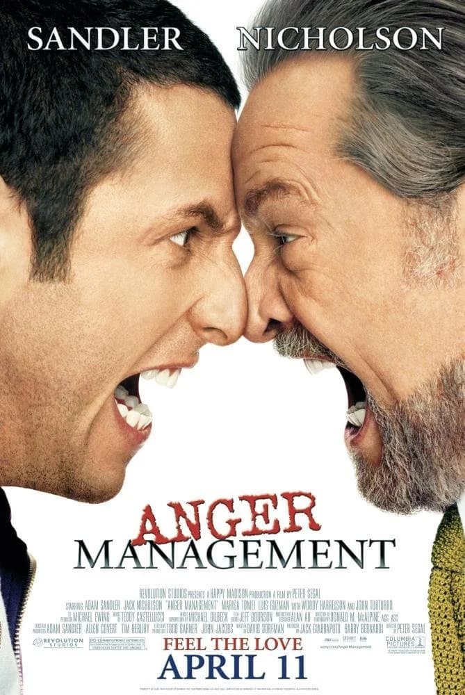 Poster of Anger Management (2003) BluRay Dual Audio [HINDI & ENGLISH]