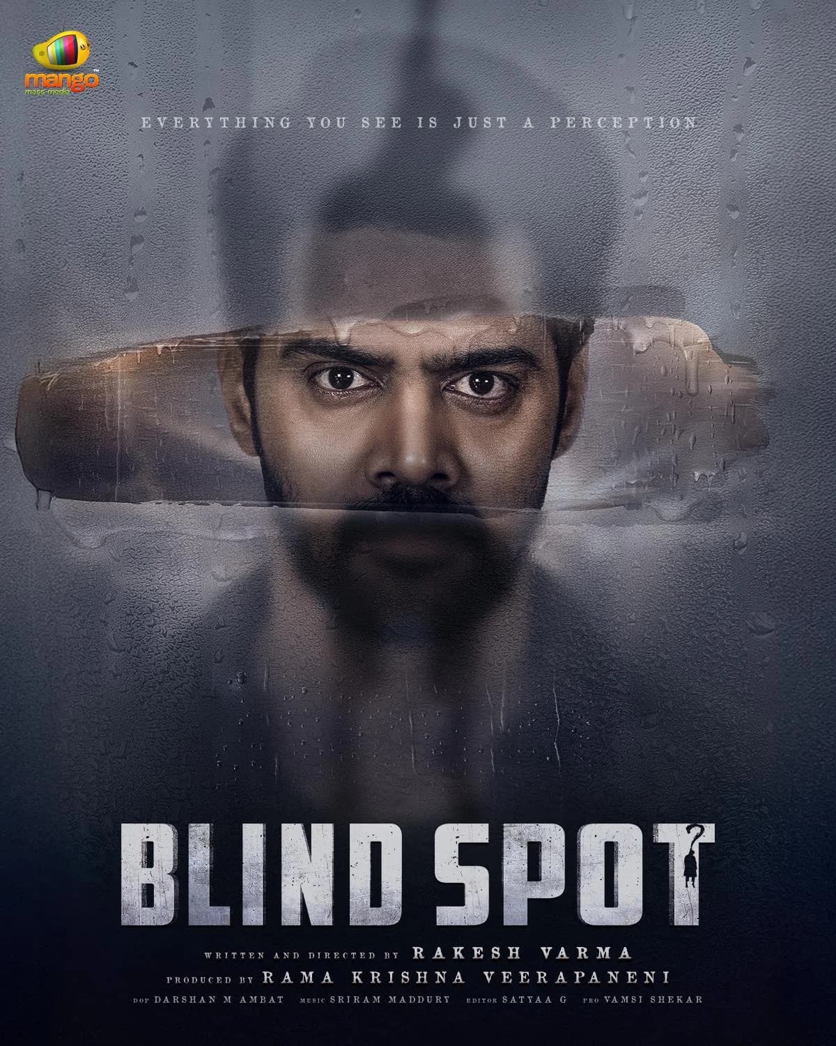 Poster of Blind Spot (2025) Hindi-DD5.1 (Multi-Audio) WeB-DL